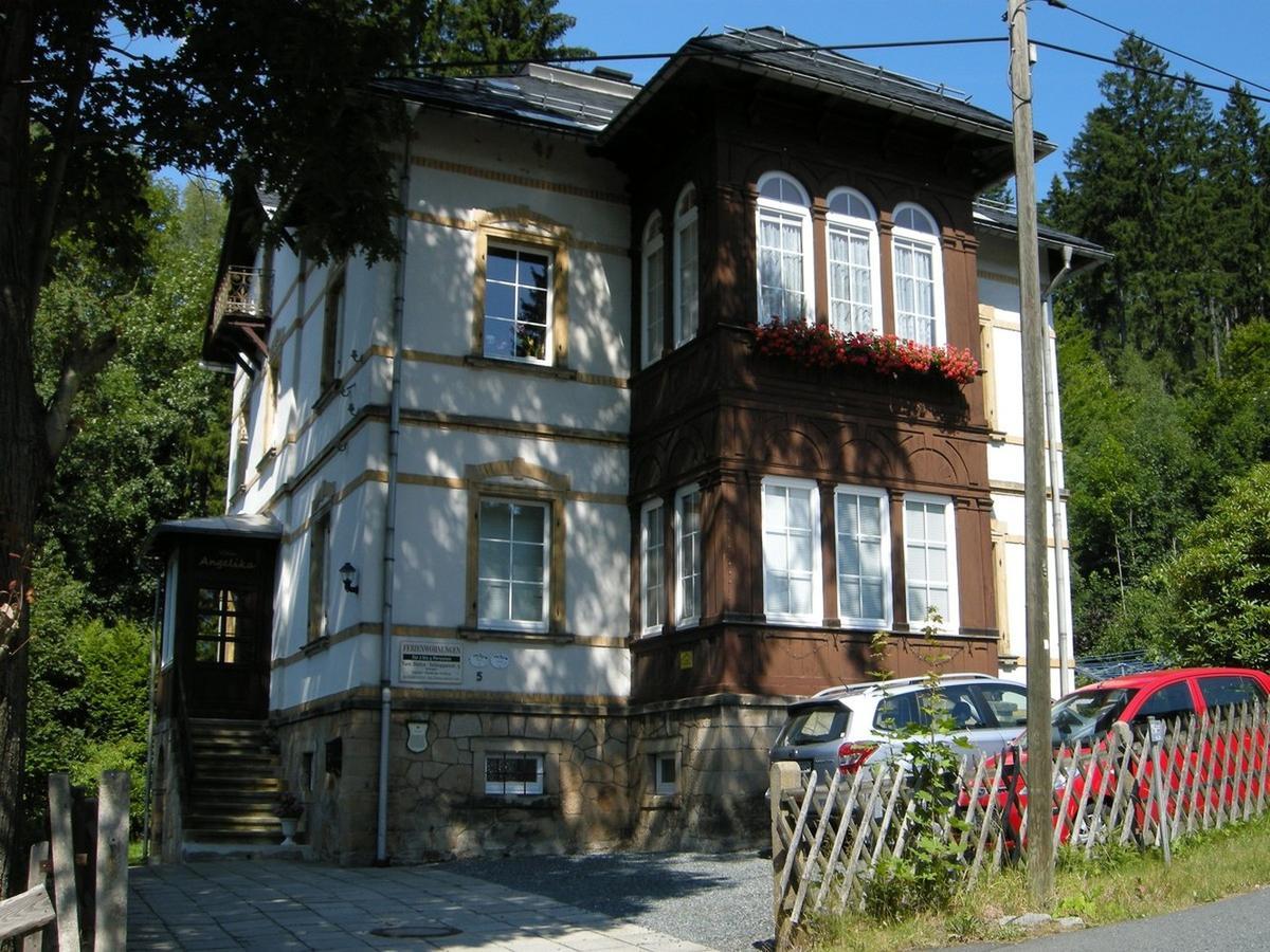 Villa Angelika Altenberg  Exteriör bild