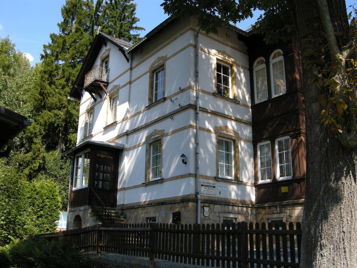 Villa Angelika Altenberg  Exteriör bild